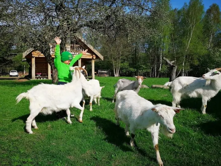 Браслав: Rancho Khutor Yodishki