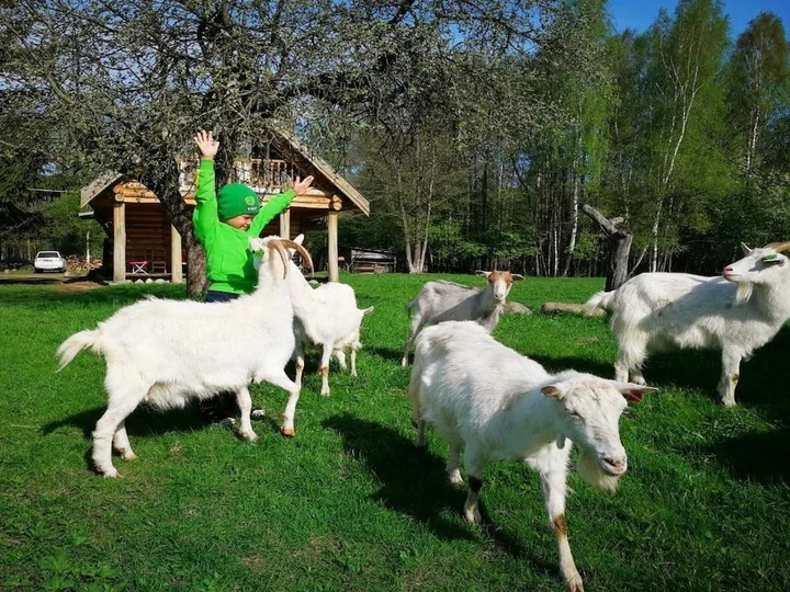 Браслав: Rancho Khutor Yodishki