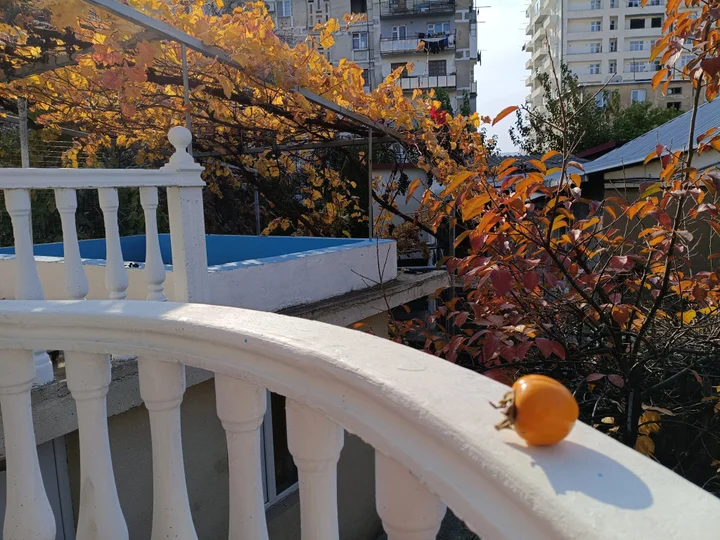 Тбилиси: Гостевой Дом Eco-friendly Why Me Tbilisi