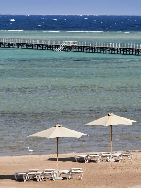 Шарм-эш-Шейх (Шарм-эль-Шейх): Rixos Premium Seagate