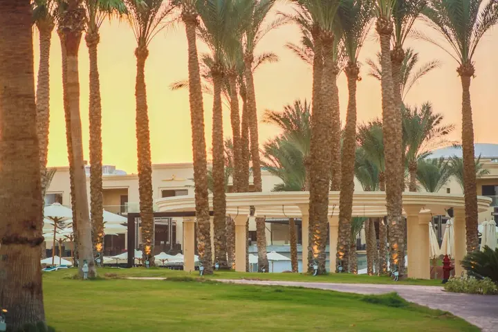 Шарм-эш-Шейх (Шарм-эль-Шейх): Rixos Premium Seagate