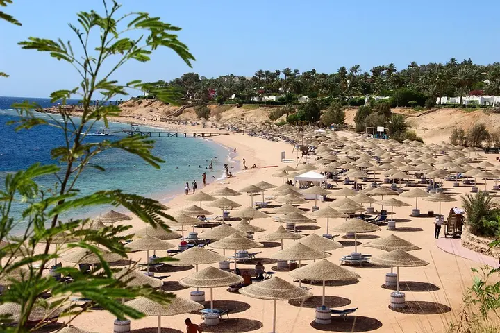 Шарм-эш-Шейх (Шарм-эль-Шейх): Курортный отель Domina Coral Bay