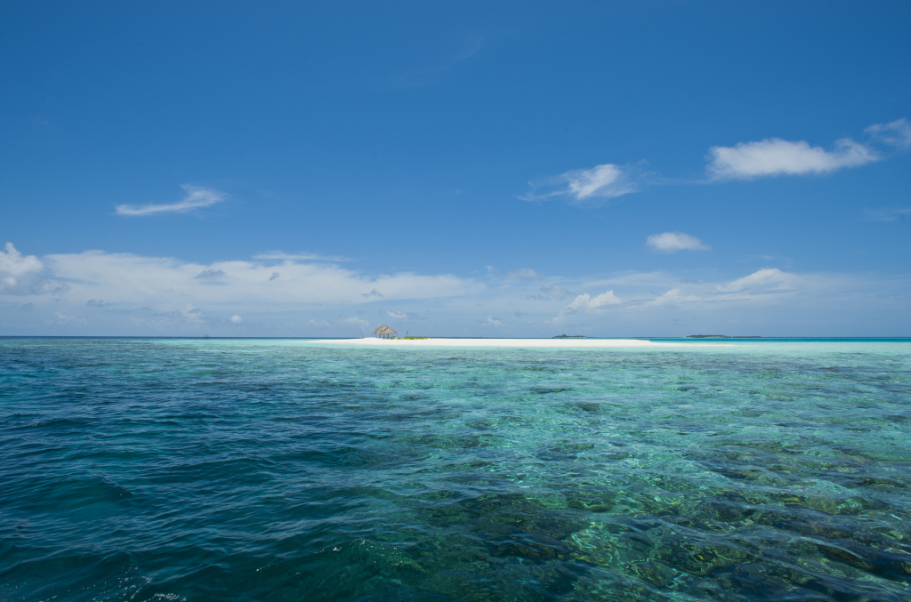 Атолл Алиф-Дхаалу: Отель Boutique Beach All Inclusive Diving