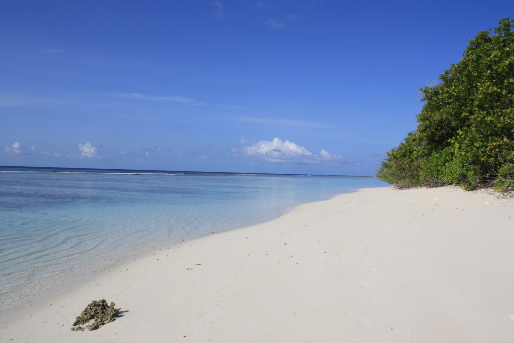 Атолл Алиф-Дхаалу: Отель Boutique Beach All Inclusive Diving