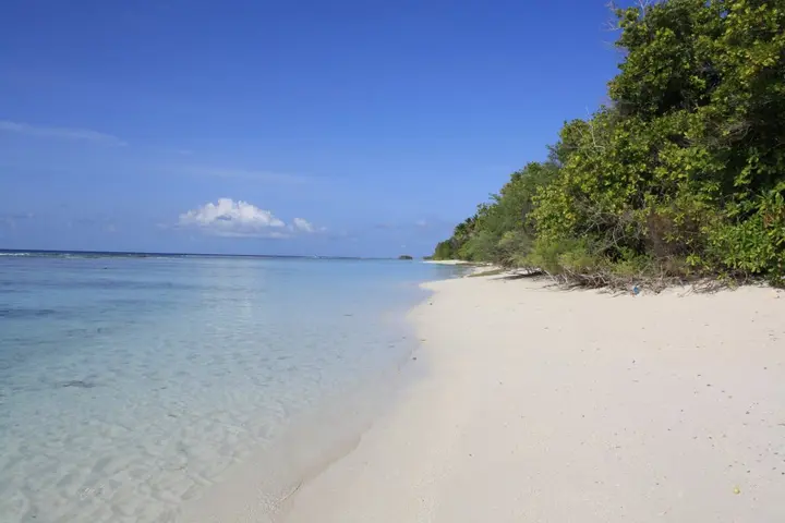 Атолл Алиф-Дхаалу: Отель Boutique Beach All Inclusive Diving