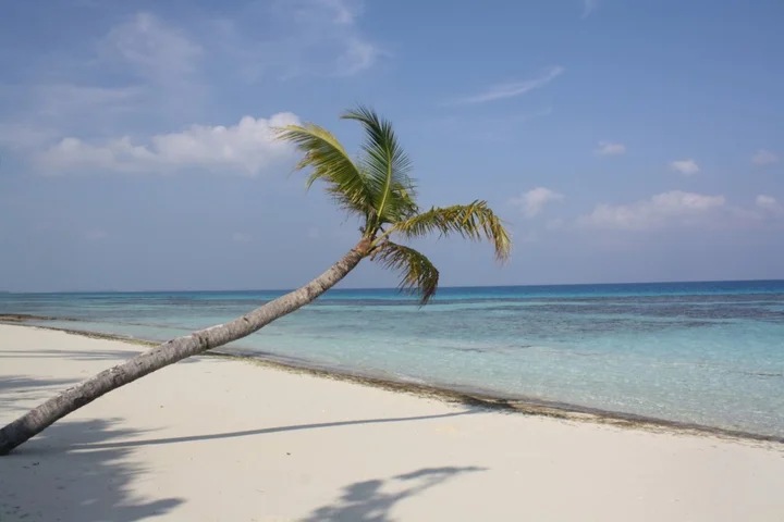 Атолл Алиф-Дхаалу: Отель Boutique Beach All Inclusive Diving