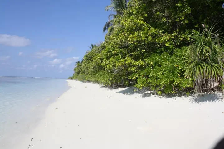 Атолл Алиф-Дхаалу: Отель Boutique Beach All Inclusive Diving