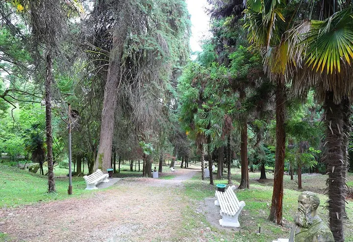 Ахваджа: Zolotoy Bereg Hotel