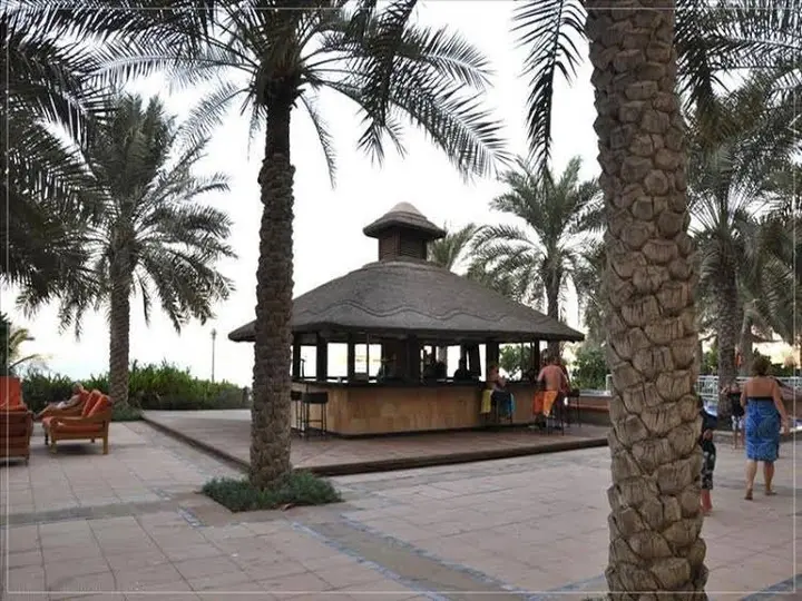 Дубай: Al Tamr - 2 BR Apartment - MSG 8772
