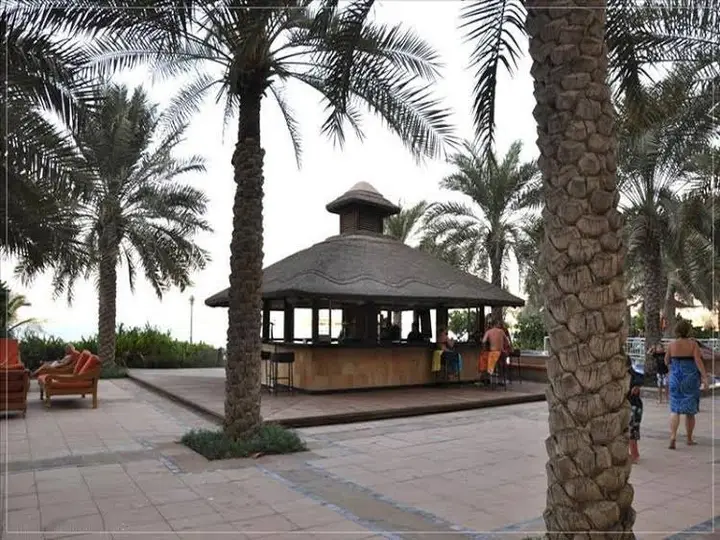 carousel image 3