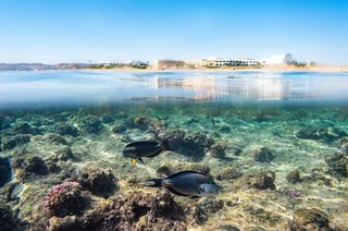 Марса Алам: The Three Corners Equinox Beach Resort RMF