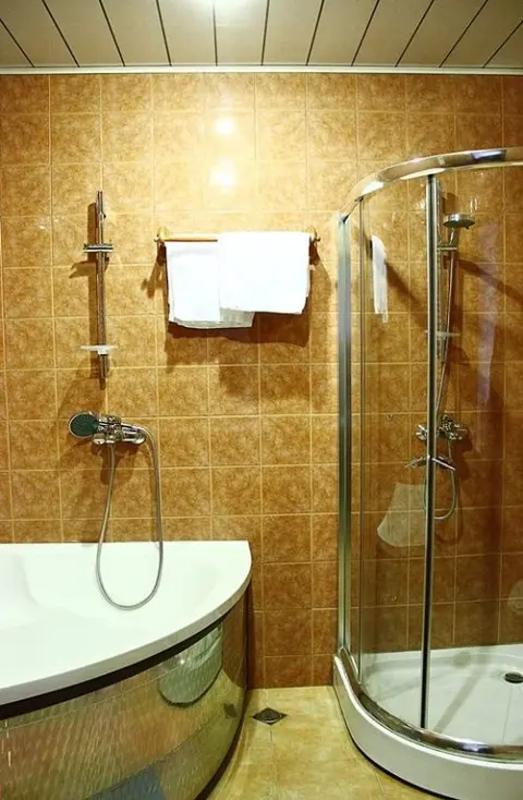 Бакуриани: Отель Villaparki