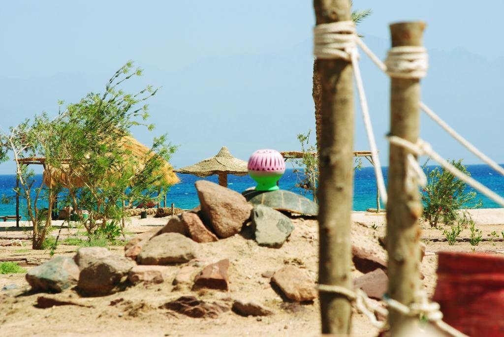 Таба: Safari Beach Nuweiba