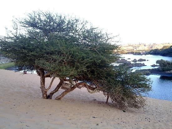 Асуан: Nubian Beach