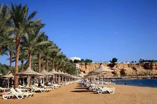 Шарм-эш-Шейх (Шарм-эль-Шейх): Seti Sharm Palm Beach Resort