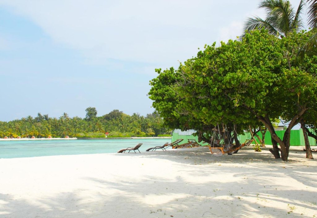 Гураиду (Атолл Каафу): Seginy Seaview Hotel