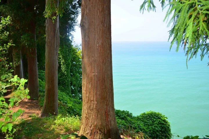 Батуми: Отель Penthousehotel Batumi