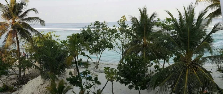 Северный атолл Мале: Hotelodge Aloevera Beach