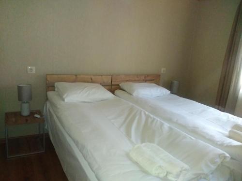 Степанцминда: Maili Hotel
