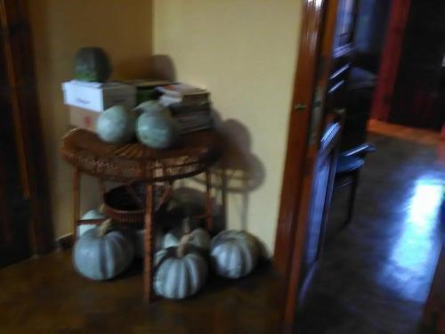 5 Ostrovski Street Guest House — фото 3