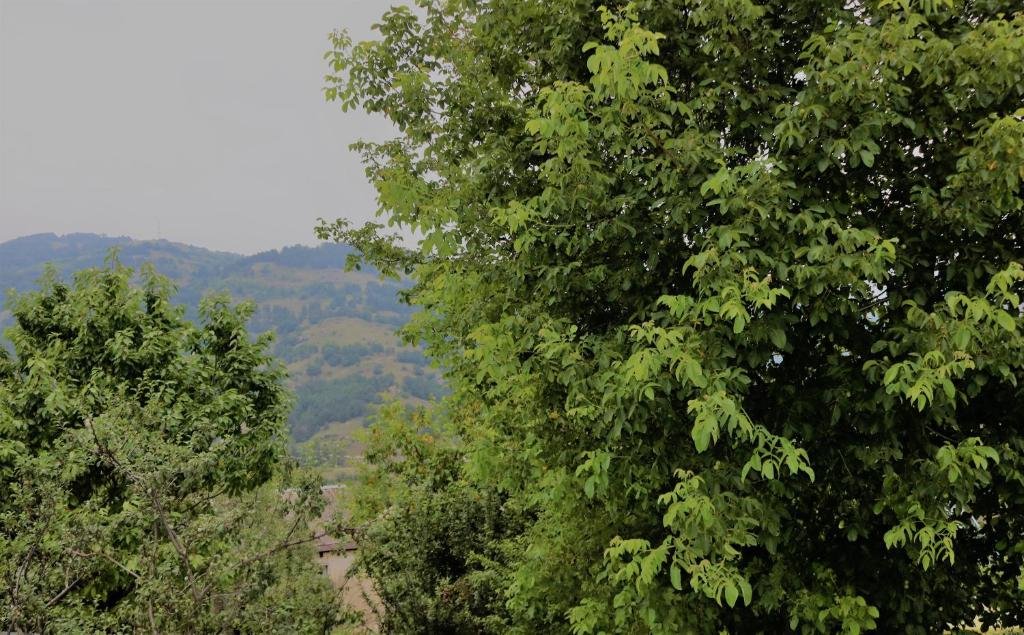 Дилижан: Dilijan Family House