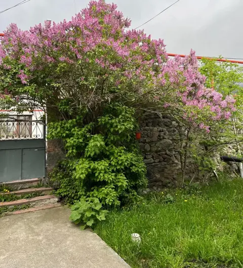 Степанцминда: Soso Burduli's Guesthouse