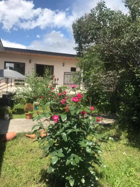 Степанцминда: Soso Burduli's Guesthouse