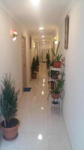 Тбилиси: hotel lika