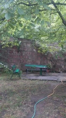Боржоми: Zviad Guest House