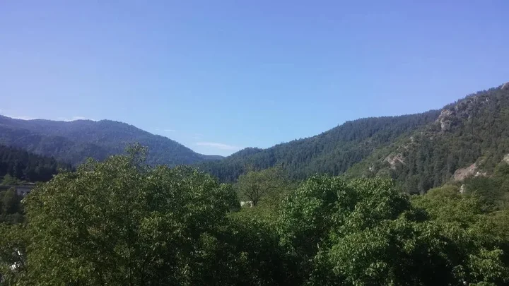 Боржоми: Zviad Guest House