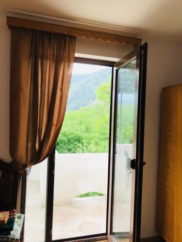 Боржоми: Zviad Guest House