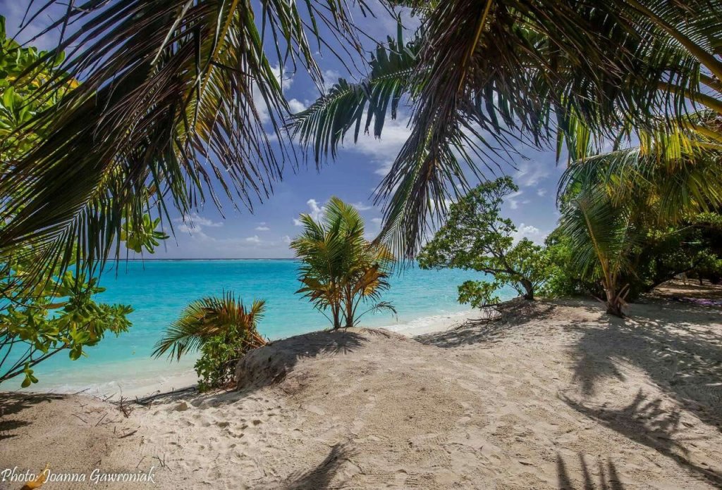 Thoddoo beach view Maldives — фото 5