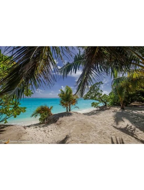 Атолл Алиф-Алиф: Thoddoo beach view Maldives