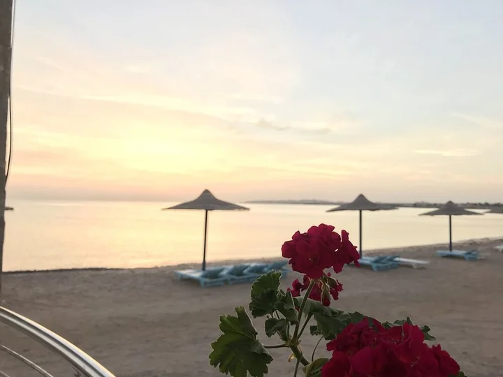 Хургада: Cecelia Resort