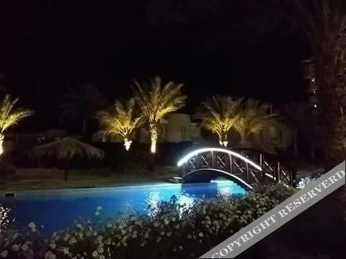 Хургада: Palma Resort