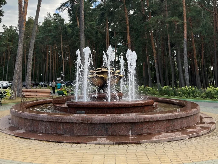 Заполье: Ruzhanskij Sanatorium