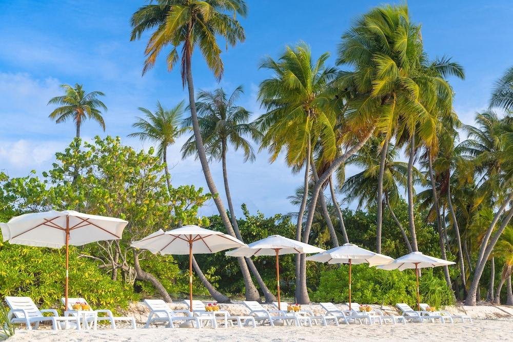 Атолл Нууну: Sabba Summer Suite Maldives