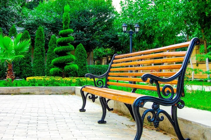 Масаллы: Vilesh Palace Hotel