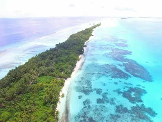 Атолл Алиф-Дхаалу: Oliva Palm Cottages
