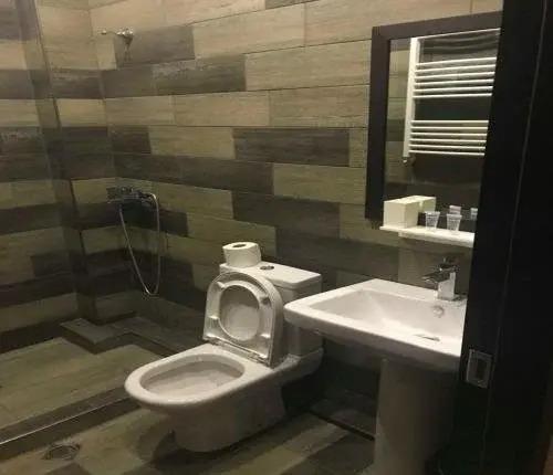 Бакуриани: Hotel Bakuriani-melisi