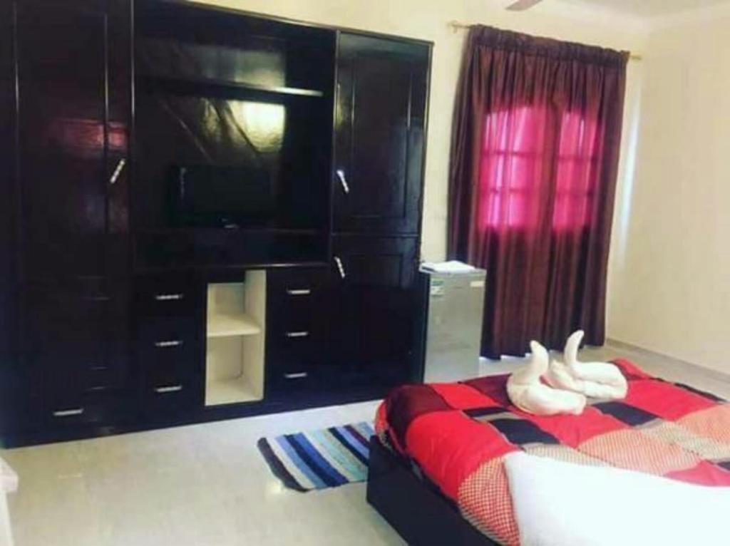 Луксор: Gold Ibis Hotel