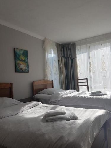 Степанцминда: Nanuka & Shako