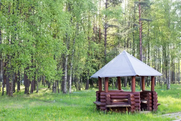 Степенёво: Chajka, Minskaja oblast'