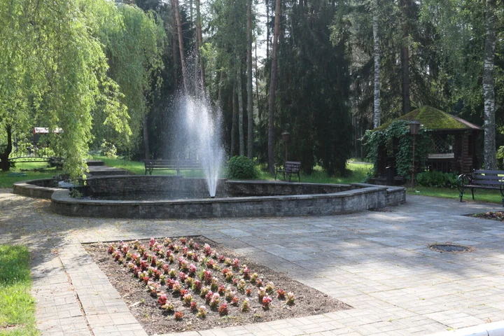 Будачи: Borovoe (Vitebskaja oblast')
