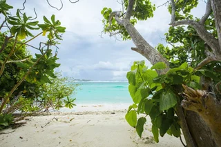 Северный атолл Мале: Sea Retreats Thulusdhoo