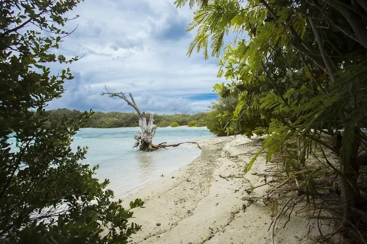 Северный атолл Мале: Sea Retreats Thulusdhoo