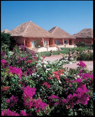 Шарм-эш-Шейх (Шарм-эль-Шейх): Pickalbatros Laguna Vista Resort - Sharm El Sheikh