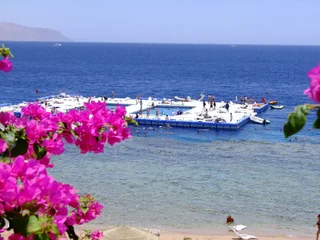 Шарм-эш-Шейх (Шарм-эль-Шейх): Domina Coral Bay Oasis
