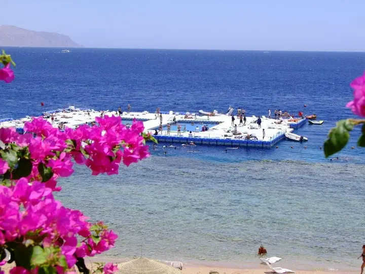 Шарм-эш-Шейх (Шарм-эль-Шейх): Domina Coral Bay Oasis