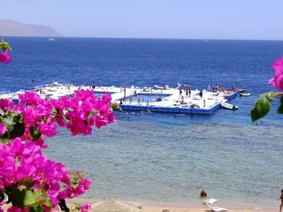 Шарм-эш-Шейх (Шарм-эль-Шейх): Domina Coral Bay Oasis